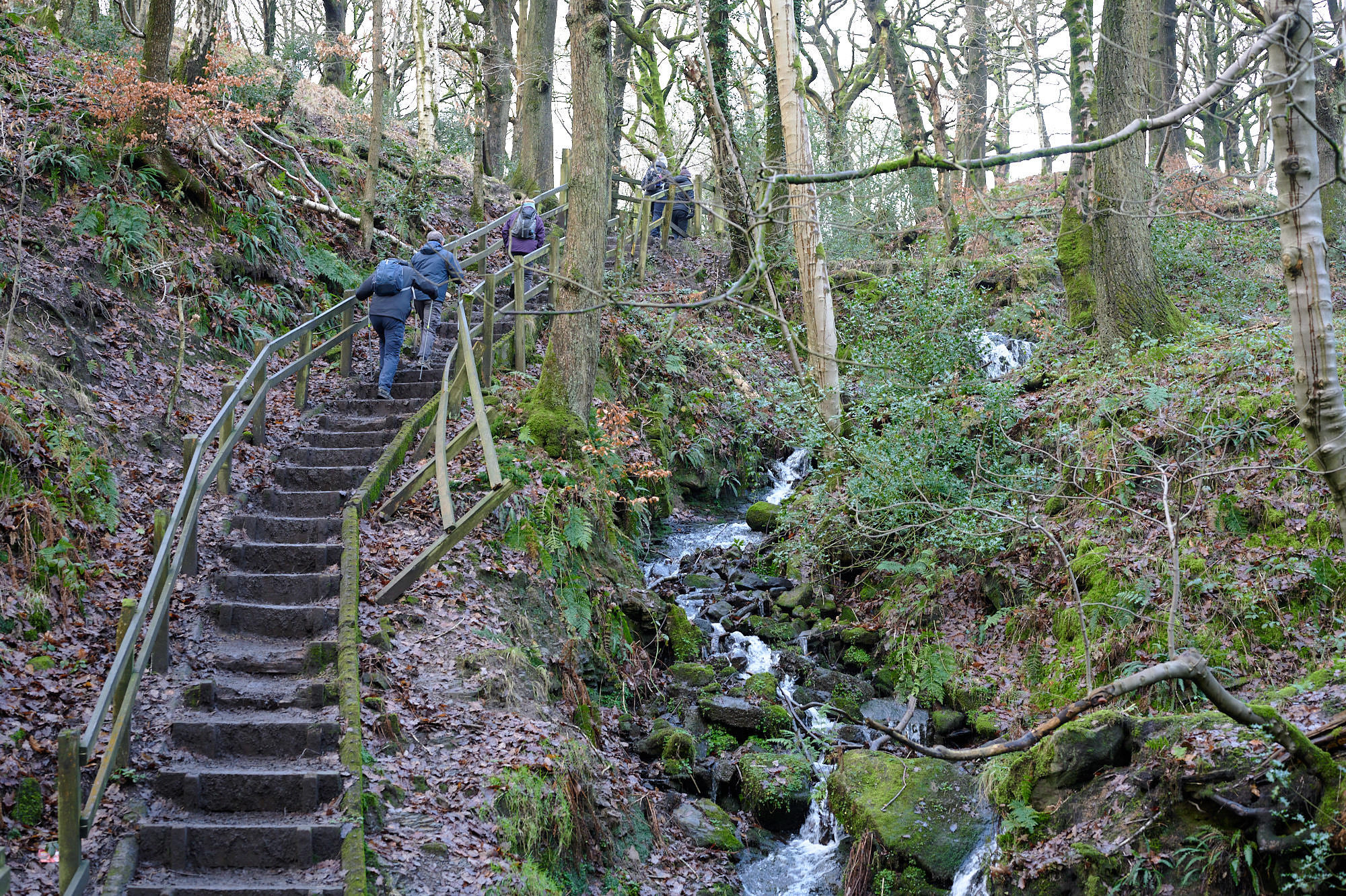 Turton and Entwistle Reservoir
