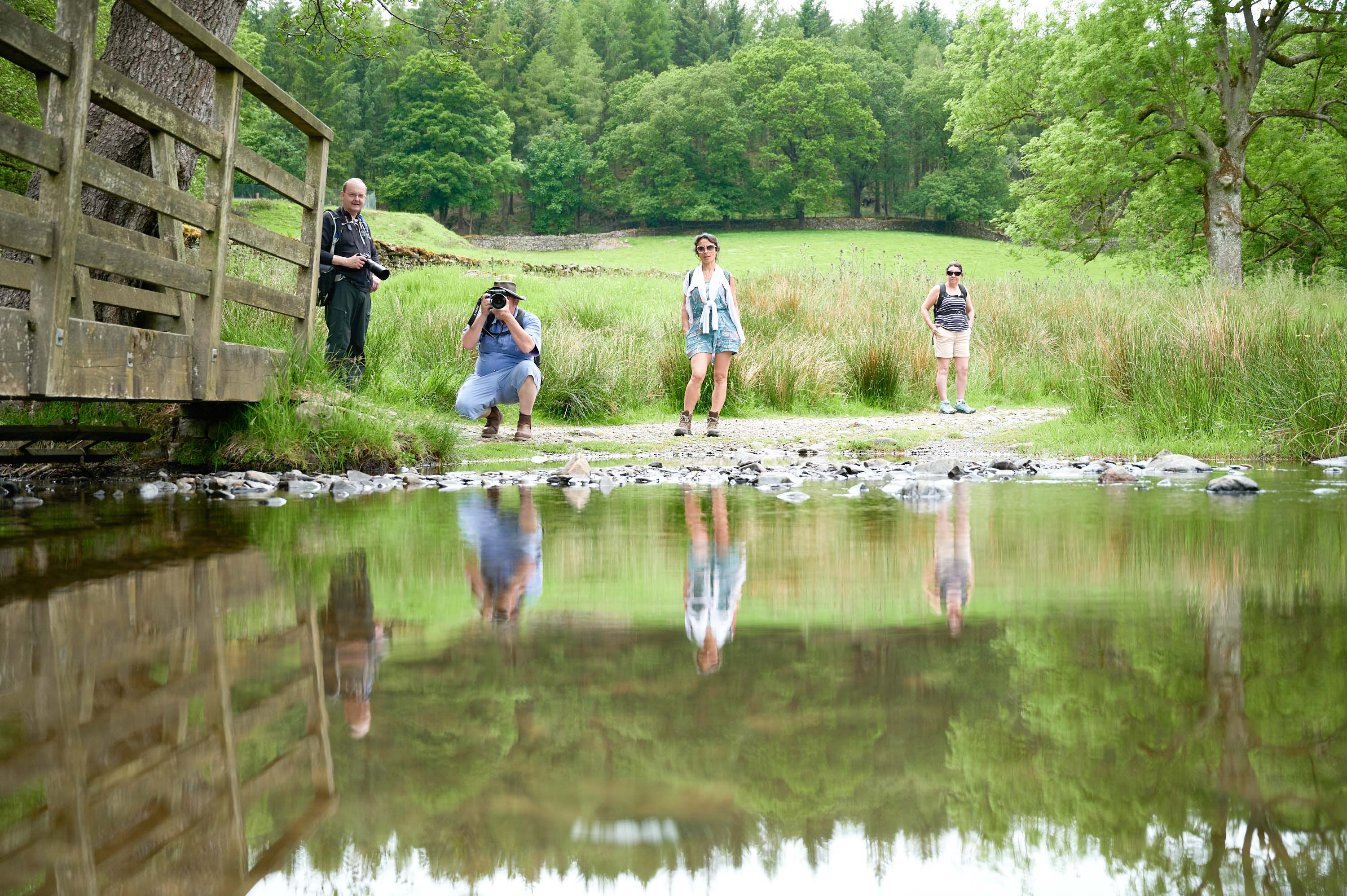 The Tarns Walk, Windermere