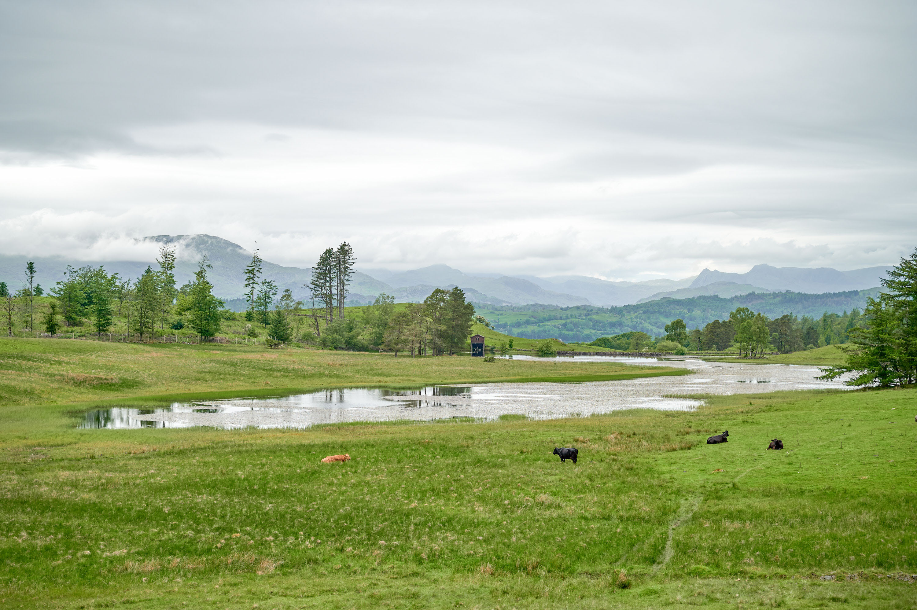 The Tarns Walk, Windermere