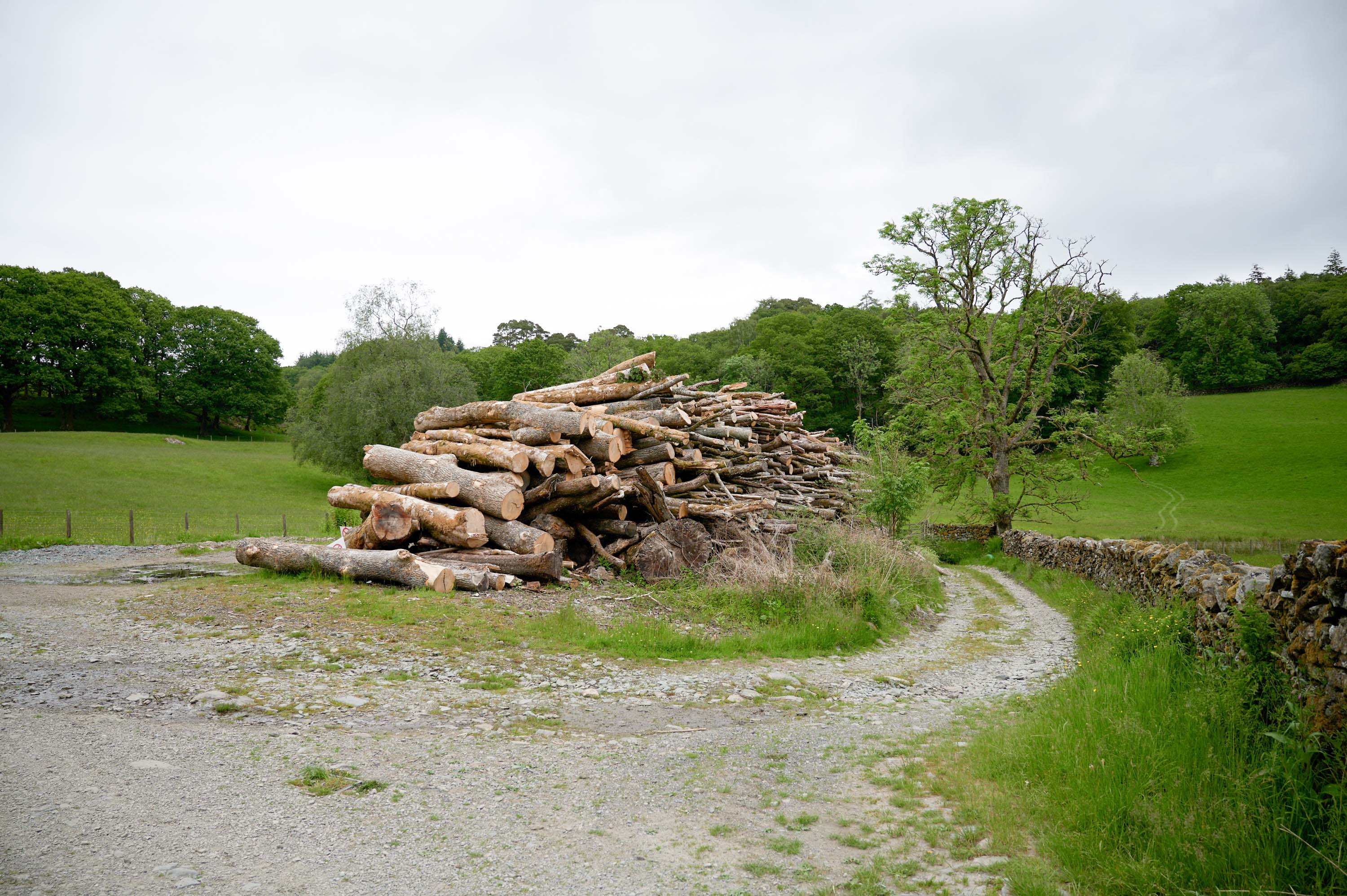 The Tarns Walk, Windermere