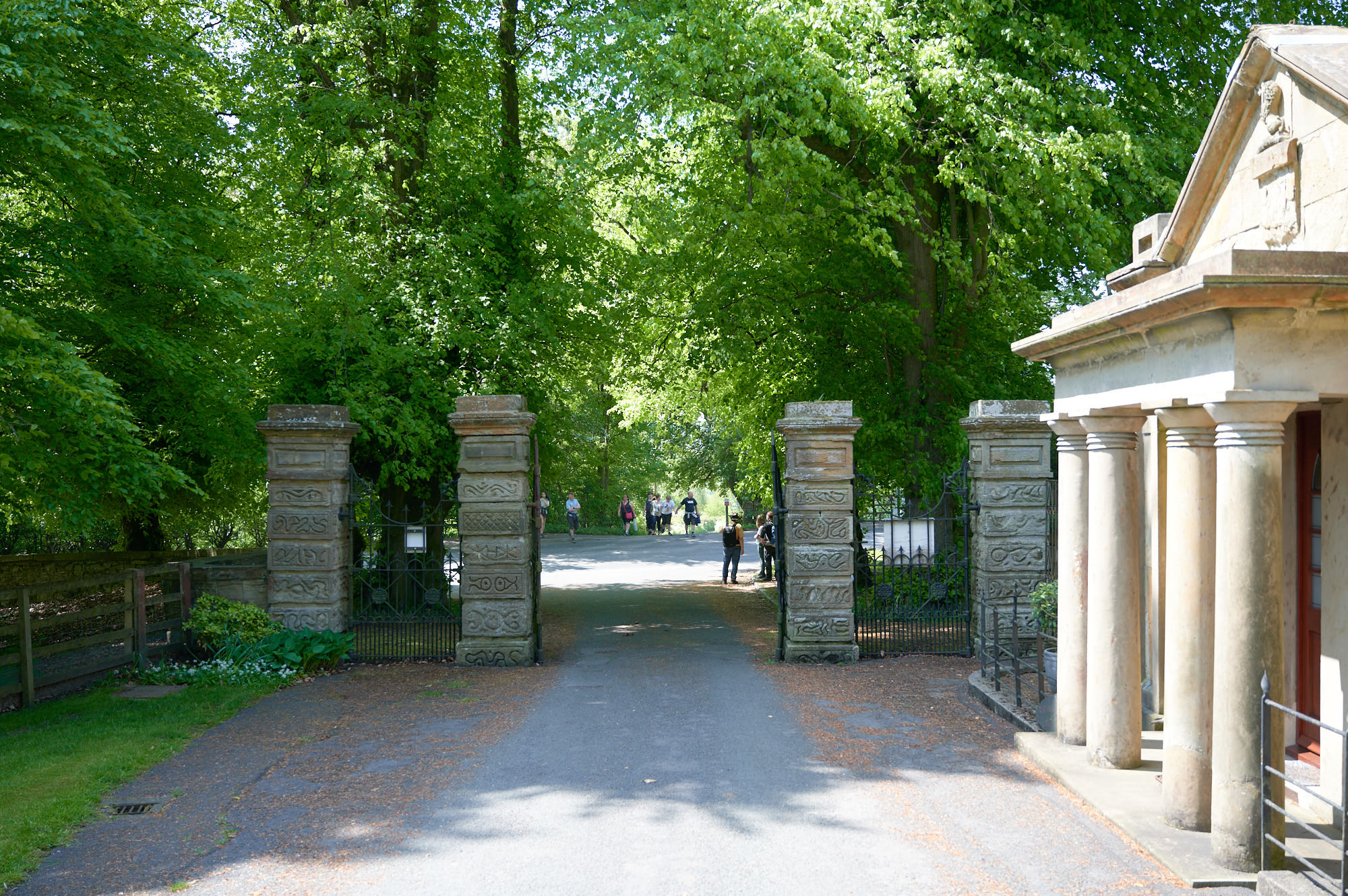 Spring Wood and Whalley walk