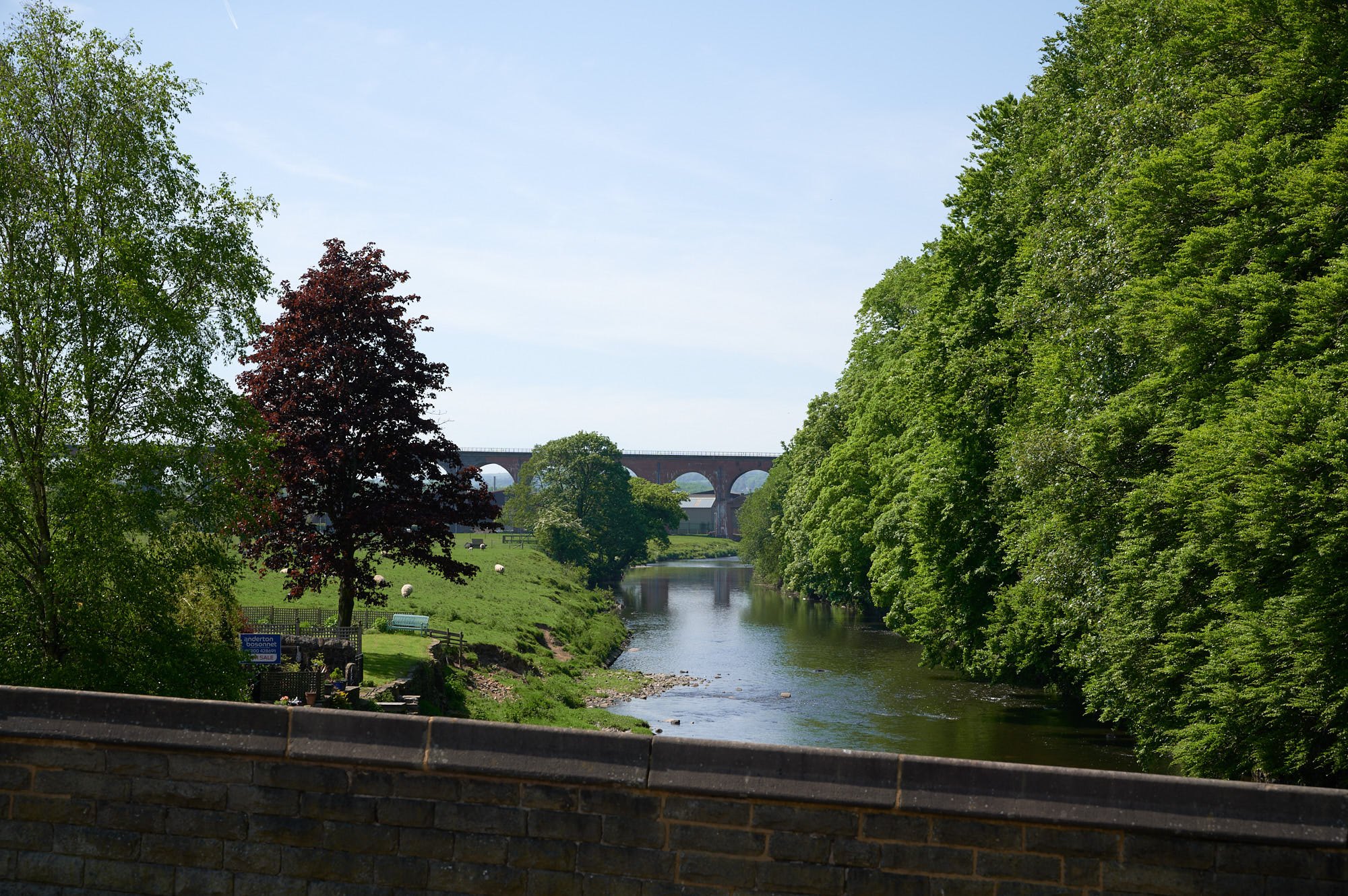 Spring Wood and Whalley walk