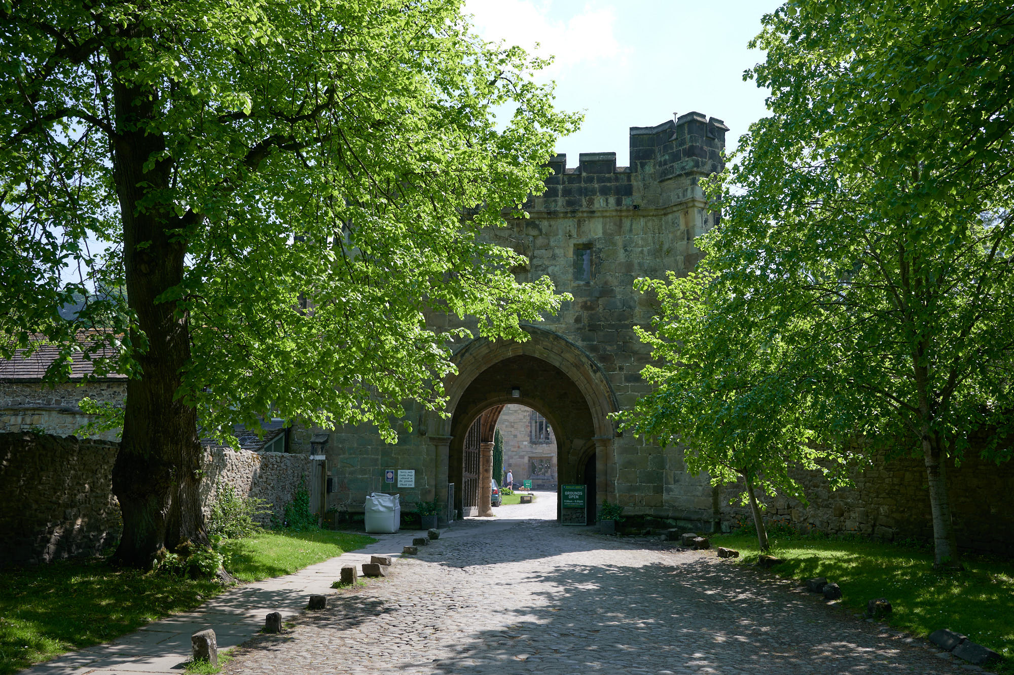 Spring Wood and Whalley walk